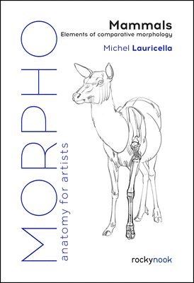 Morpho: Mammals 1