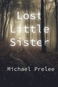 bokomslag Lost Little Sister