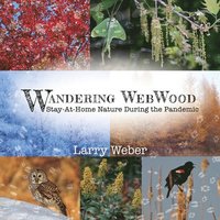 bokomslag Wandering Webwood: Stay-At-Home Nature During the Pandemic