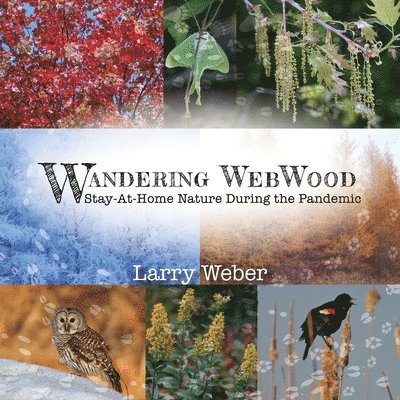 Larry Weber - Wandering Webwood: Stay-At-Home Nature During the Pandemic, Häftad