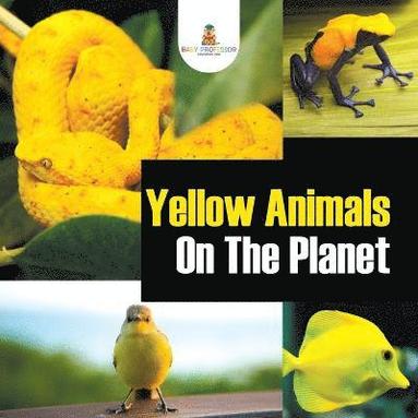bokomslag Yellow Animals On The Planet