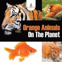 bokomslag Orange Animals On The Planet