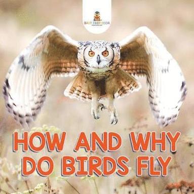bokomslag How and Why Do Birds Fly