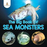 bokomslag Big Book Of Sea Monsters (Scary Looking Sea Animals)