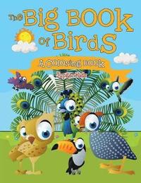 bokomslag Big Book of Birds (A Coloring Book)