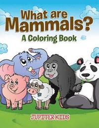 bokomslag What are Mammals? (A Coloring Book)