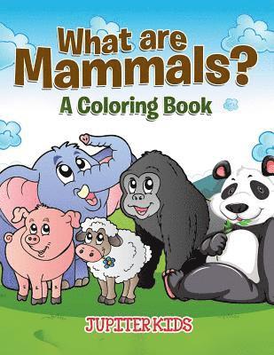 bokomslag What are Mammals? (A Coloring Book)