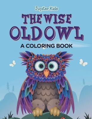 bokomslag Wise Old Owl (A Coloring Book)