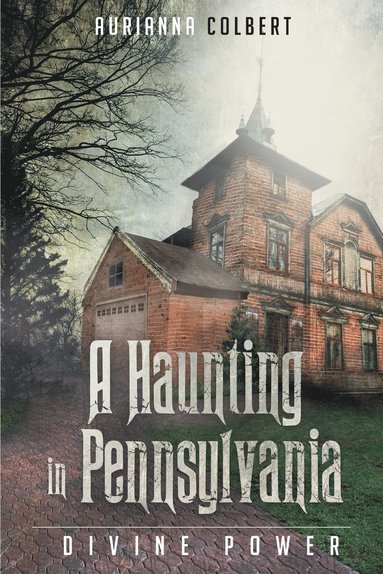 bokomslag A Haunting In Pennsylvania