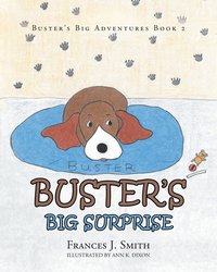 bokomslag Buster's Big Surprise