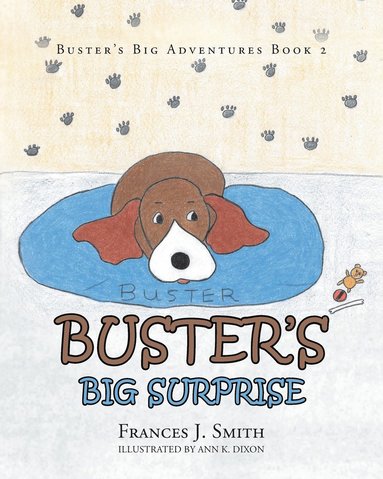 bokomslag Buster's Big Surprise