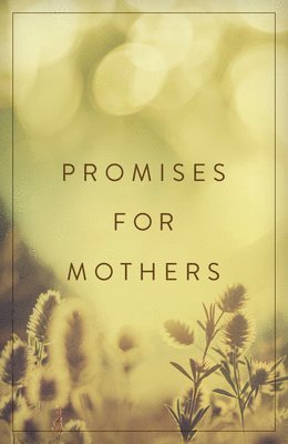 bokomslag Promises for Mothers (25-Pack)