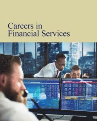 bokomslag Careers in Financial Services