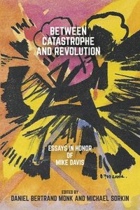 bokomslag Between Catastrophe and Revolution