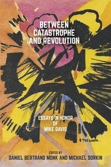 Daniel Bertrand Monk, Michael Sorkin - Between Catastrophe and Revolution, Häftad