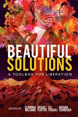 bokomslag Beautiful Solutions