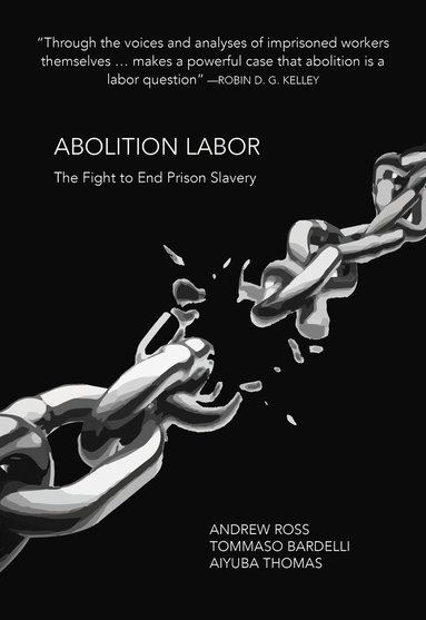 bokomslag Abolition Labor