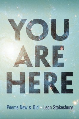 Leon Stokesbury - You Are Here, Häftad