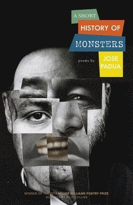 bokomslag Short History of Monsters