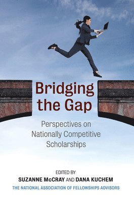 bokomslag Bridging the Gap