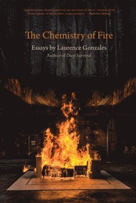 Chemistry of Fire