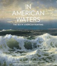 bokomslag In American Waters