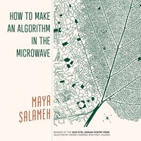 bokomslag How to Make an Algorithm in the Microwave