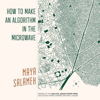 bokomslag How to Make an Algorithm in the Microwave