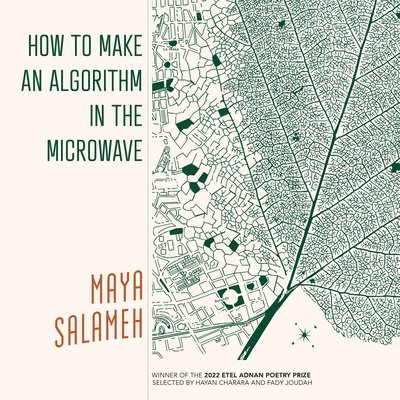 How to Make an Algorithm in the Microwave 1