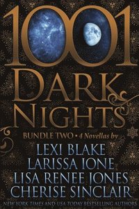 bokomslag 1001 Dark Nights