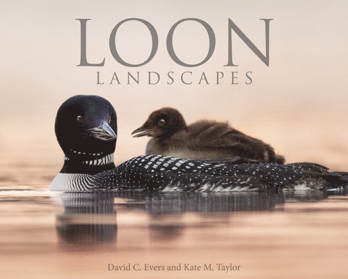 Loon Landscapes 1