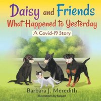 bokomslag Daisy and Friends What Happened to Yesterday