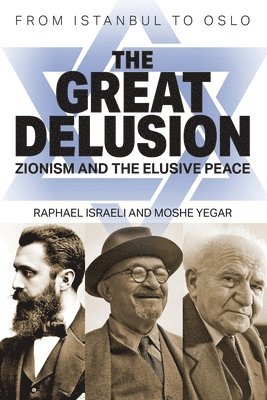 bokomslag Great Delusion