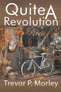 bokomslag Quite A Revolution