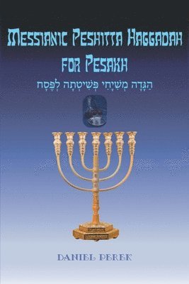 bokomslag Messianic Peshitta Haggadah for Pesakh