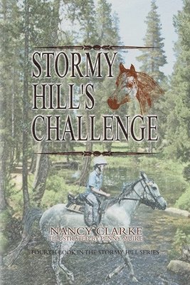 Stormy Hill's Challenge 1