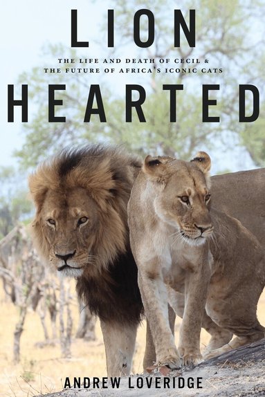 Andew Loveridge - Lion Hearted, Inbunden