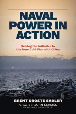 bokomslag Naval Power in Action
