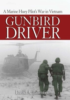 bokomslag Gunbird Driver