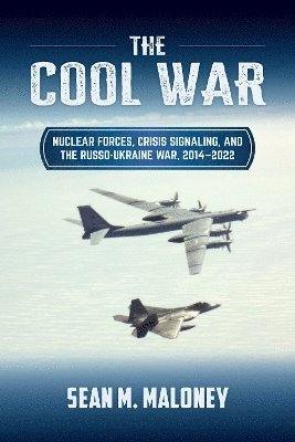 bokomslag The Cool War