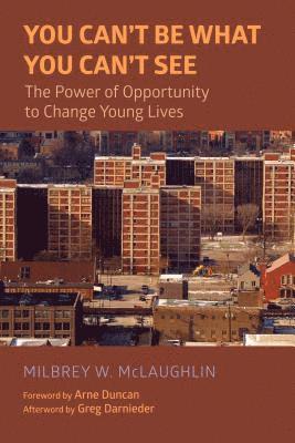 Milbrey W. McLaughlin, Milbrey W McLaughlin - You Can't Be What You Can't See, Häftad