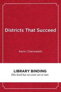 bokomslag Districts That Succeed
