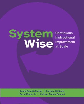System Wise 1