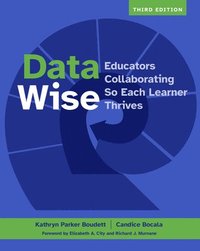 bokomslag Data Wise