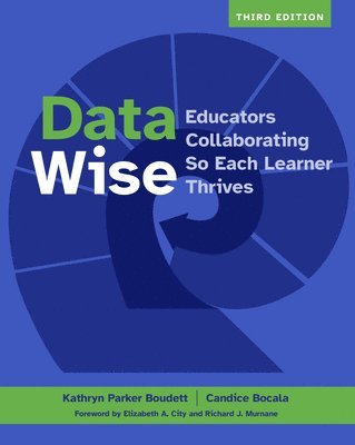 bokomslag Data Wise
