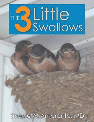 bokomslag The 3 Little Swallows