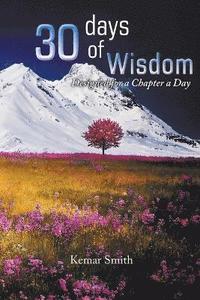 bokomslag 30 Chapters of Wisdom