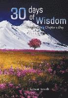 bokomslag 30 Chapters of Wisdom