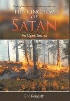 bokomslag Kingdom of Satan