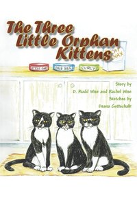 bokomslag Three Little Orphan Kittens